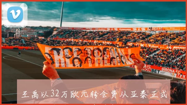 王禹以32万欧元转会费从亚泰正式加盟国安球队消息更新